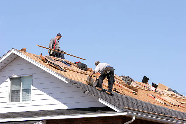 Best Roof Insulation Installation  in Robinwood, MD